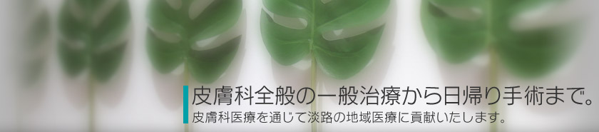 �畆�ȑS�ʂ̈�ʎ��Â�����A���p�܂ŁB�畆�Ȉ�Â�ʂ��ĒW�H�̒n���Âɍv���������܂��B